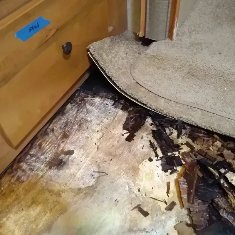 Wood Floor Water Damage in Buffalo, MN